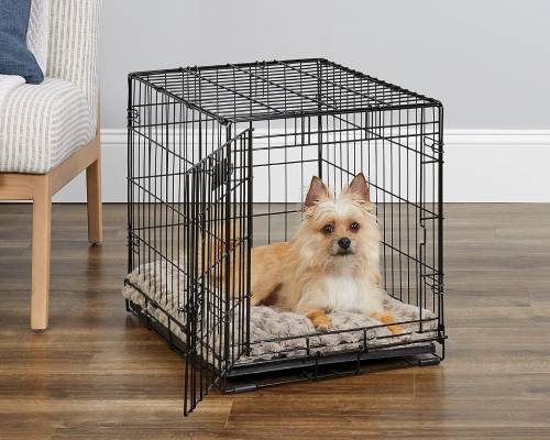 MidWest Homes for Pets Newly Enhanced Single Door iCrate Dog Crate