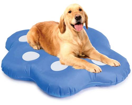 Milliard Dog Float for Pool
