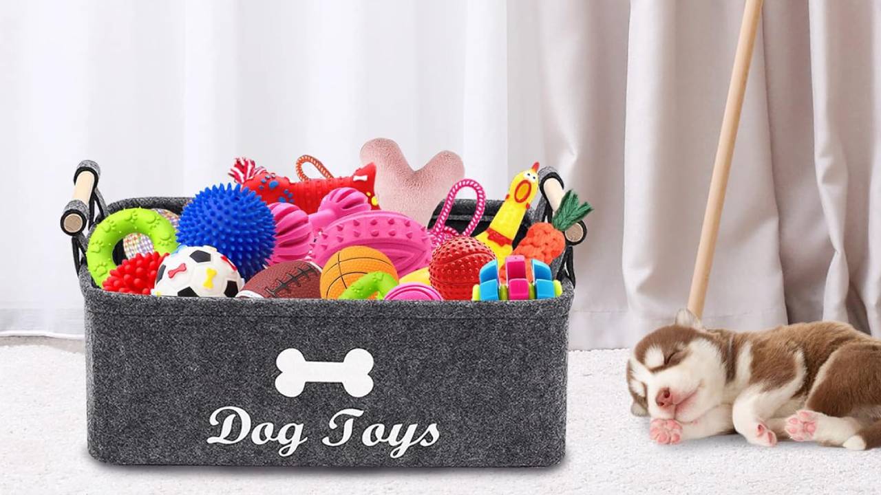 Small dog toy baskets