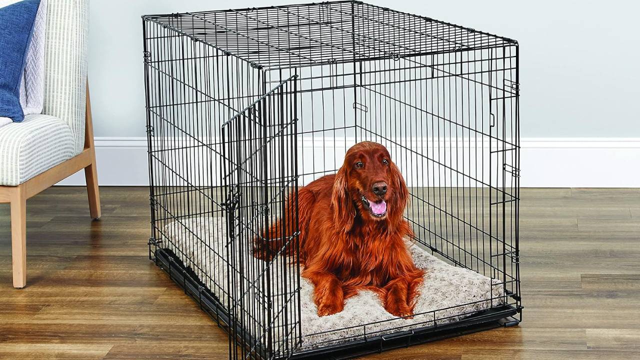 The 5 best dog crates