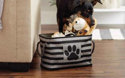 The Best Baskets for Dog Toys