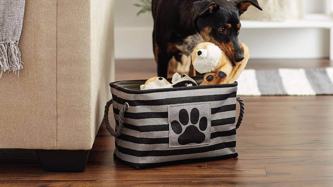 best baskets for dog toys