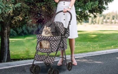 The Best Cat Strollers of 2024