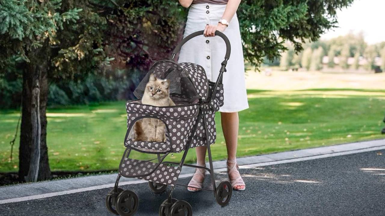 best cat strollers