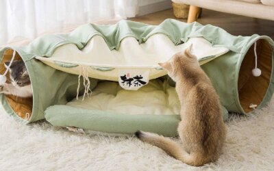 The Best Cat Tunnels of 2024