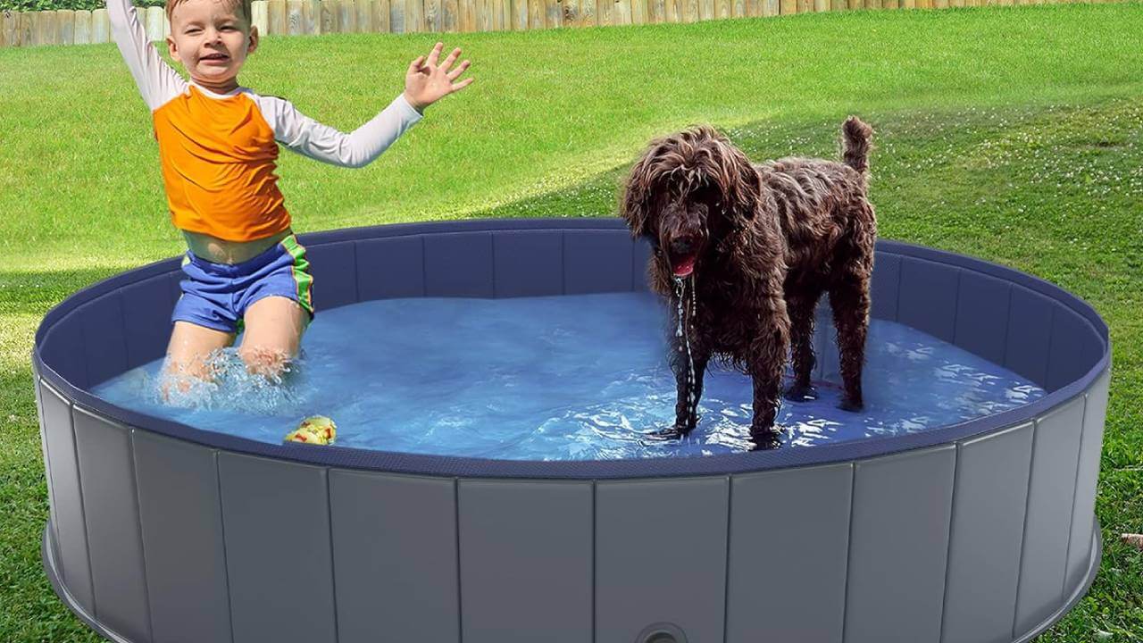 best foldable dog pool