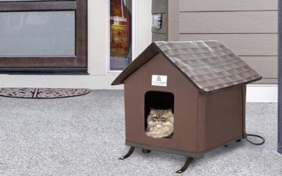The Best Heated Outdoor Cat Beds