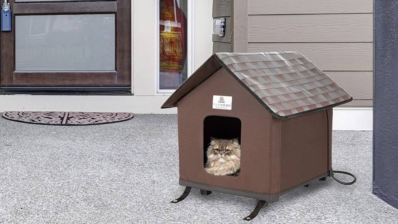 best heated outdoor cat beds