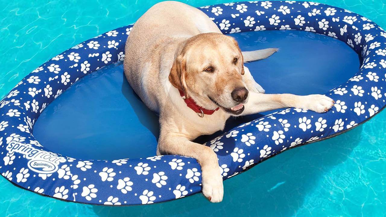 best inflatable pup planks