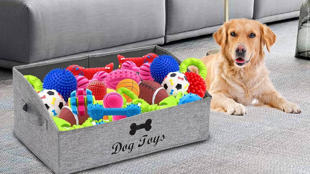 best pet toy basket