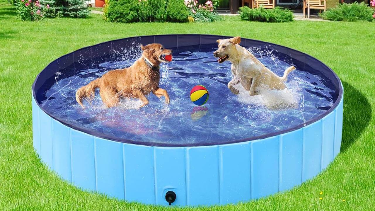 best plastic dog pool