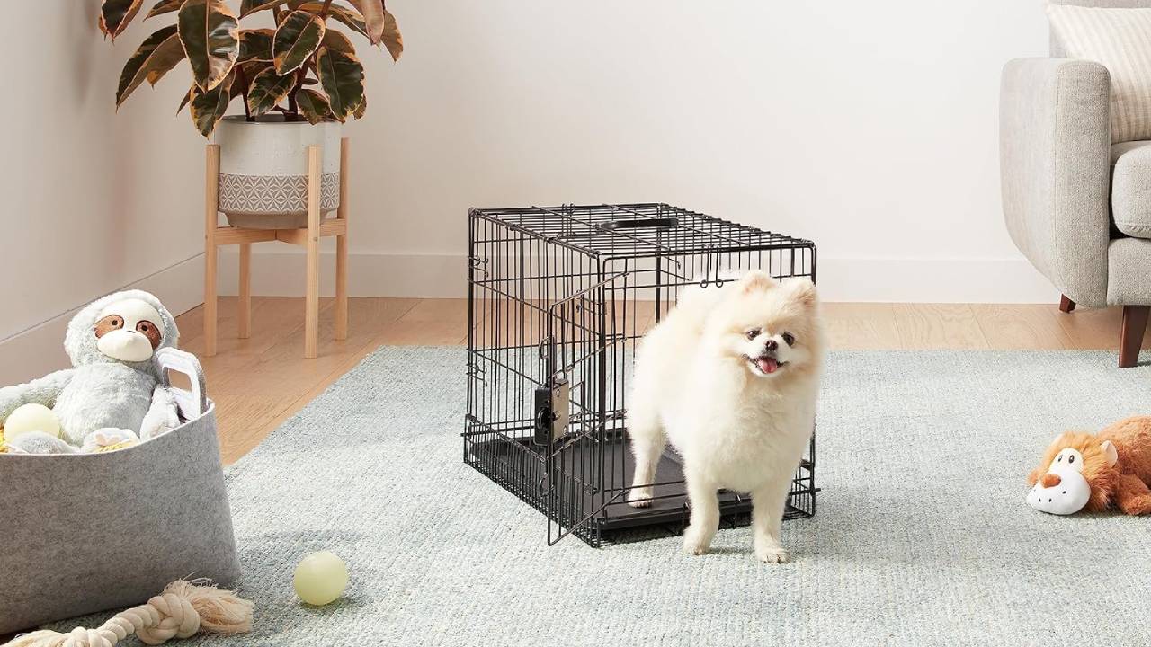 best small dog crates