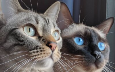 Cat Eye Colors: 10 Unique Shades & Meanings