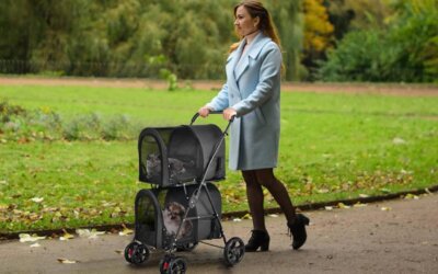 The Best Cat Strollers for 2 Cats of 2024