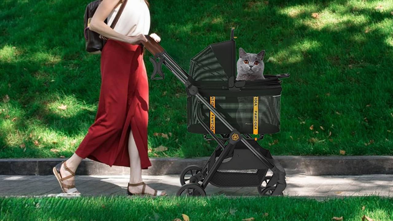 cat stroller with a detachable carrier