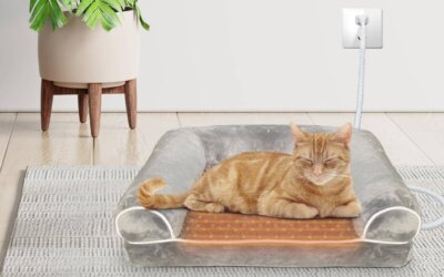 The Best Indoor Heated Cat Beds