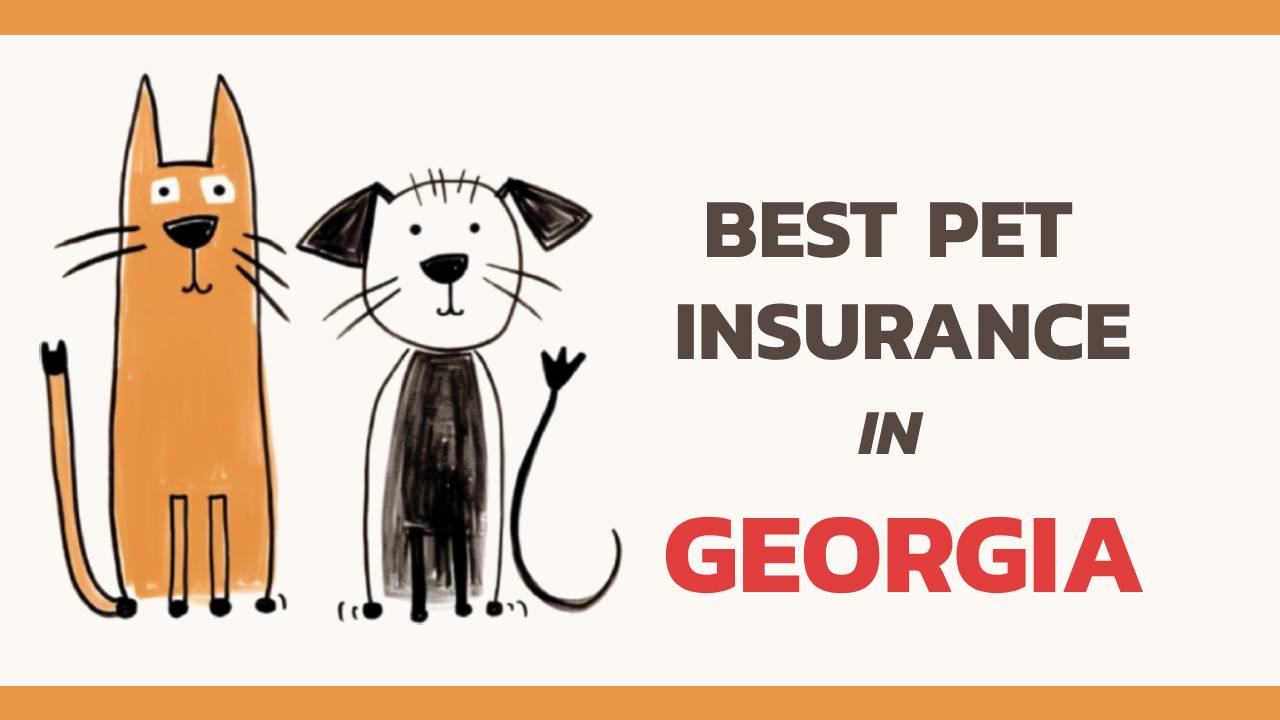 the best pet insurance in Georgia