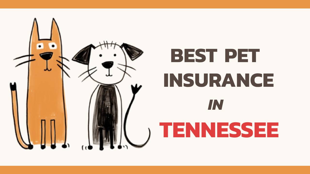 the best pet insurance in Tennessee