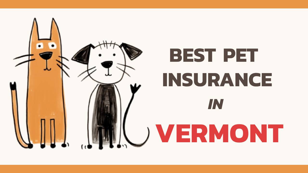the best pet insurance in Vermont