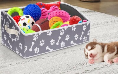 Best Puppy Toy Baskets of 2024
