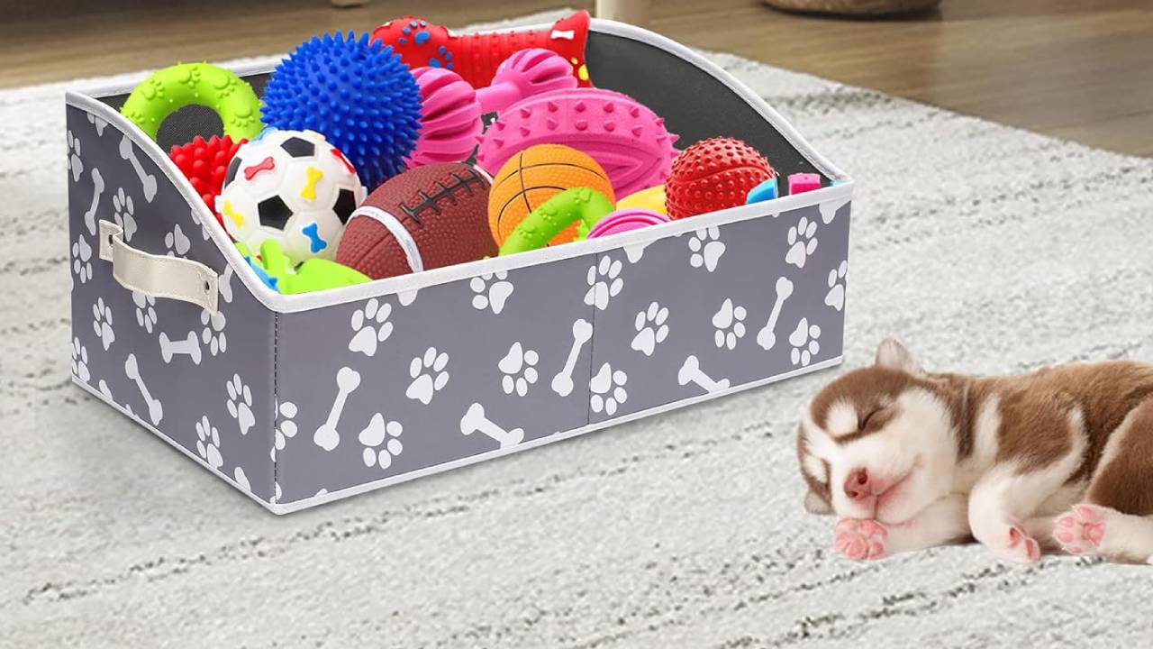 top-tier puppy toy baskets