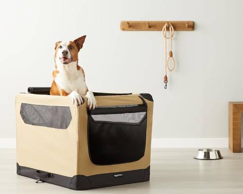 Amazon Basics - Folding Soft Crate for Cat