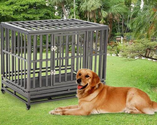 LUCKUP 38 Inch Heavy Duty Dog Cage Metal Kennel and Crate for Large Dogs