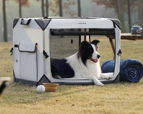Lesure Collapsible Dog Crate - Portable Dog Travel Crate Kennel for Large Dog