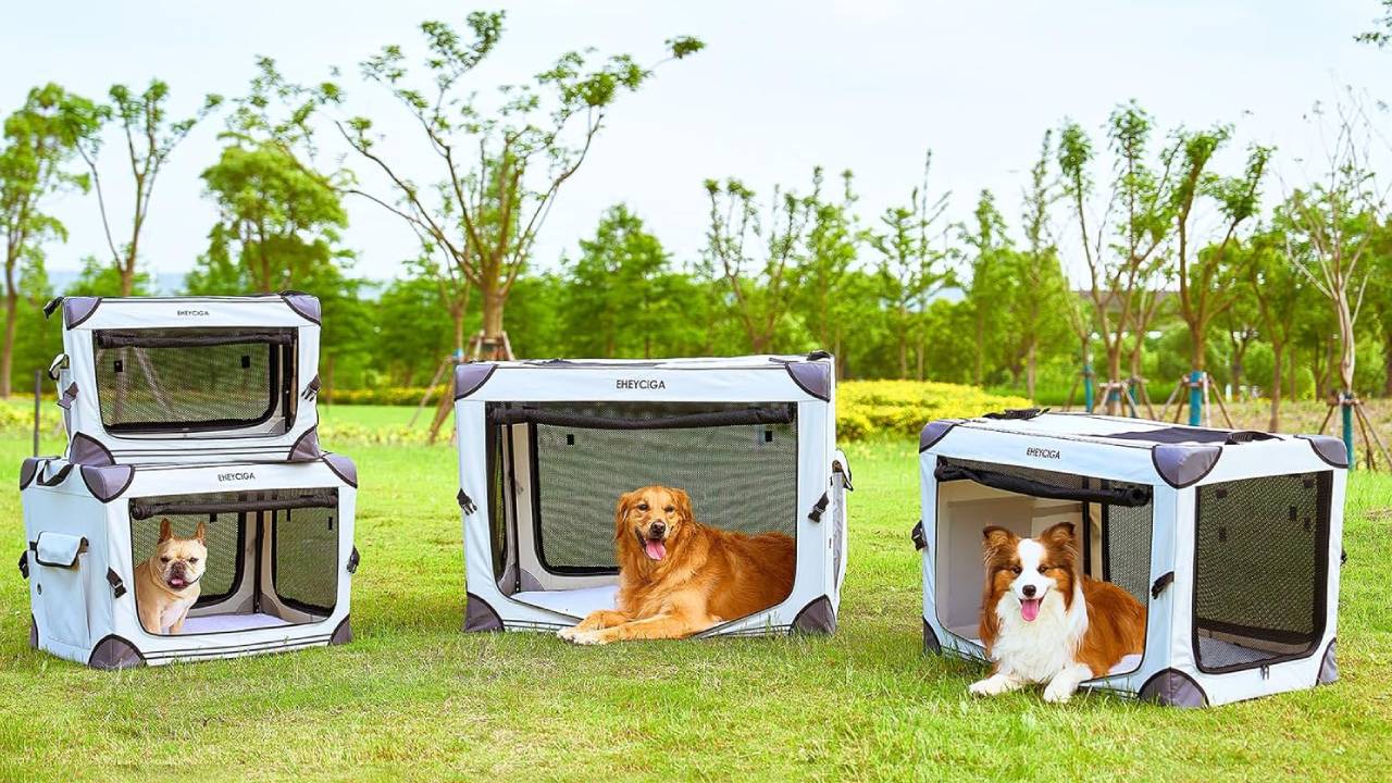 best collapsible dog crates