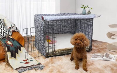 Best Dog Crate Covers for Cozy Retreats