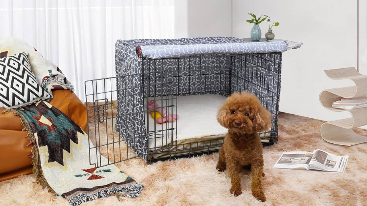 best dog crate covers for cozy retreats
