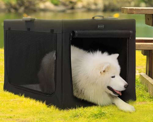 best dog travel crates petsfit
