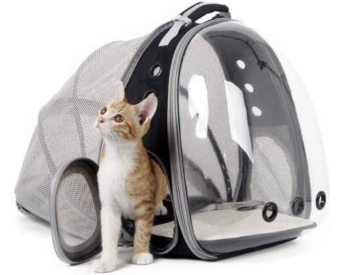 back expandable cat backpack carrier