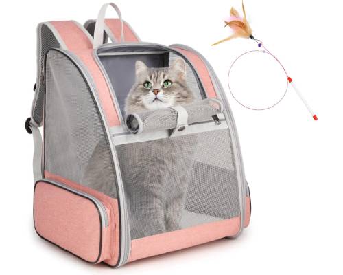 best cat backpack carrier
