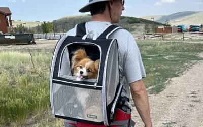 Dog Carrier Backpack: 5 Top Picks of 2024